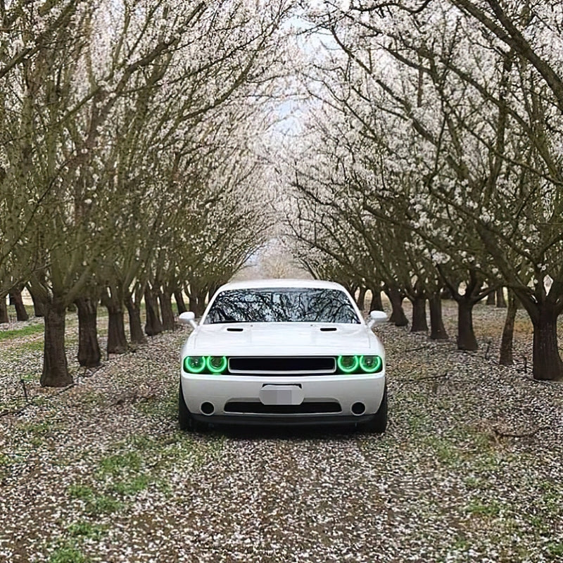 Oracle Dodge Challenger 08-14 Halo Kit (NonProjectorHL) - ColorSHIFT w/o Controller