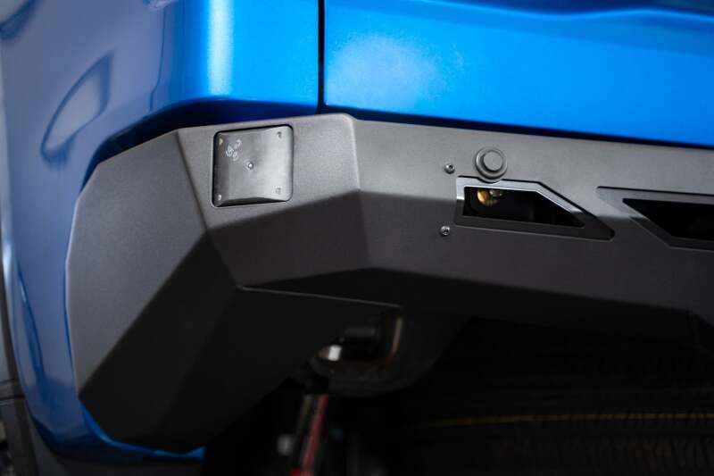 Photo - Close Up