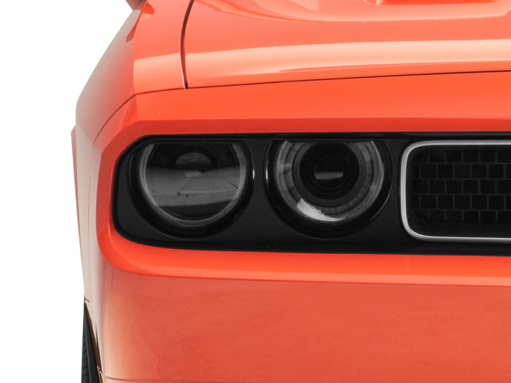 Photo - Close Up