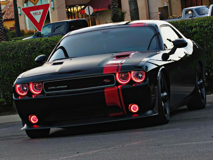 Oracle Dodge Challenger 08-14 Halo Kit (ProjectorHL) - ColorSHIFT