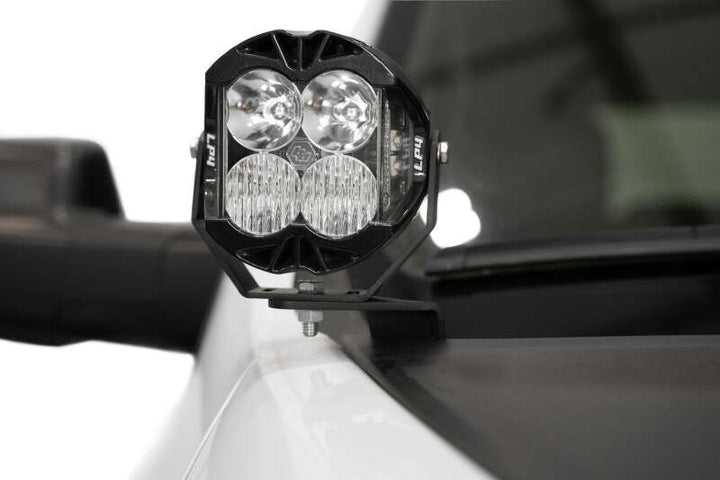 Photo - Close Up